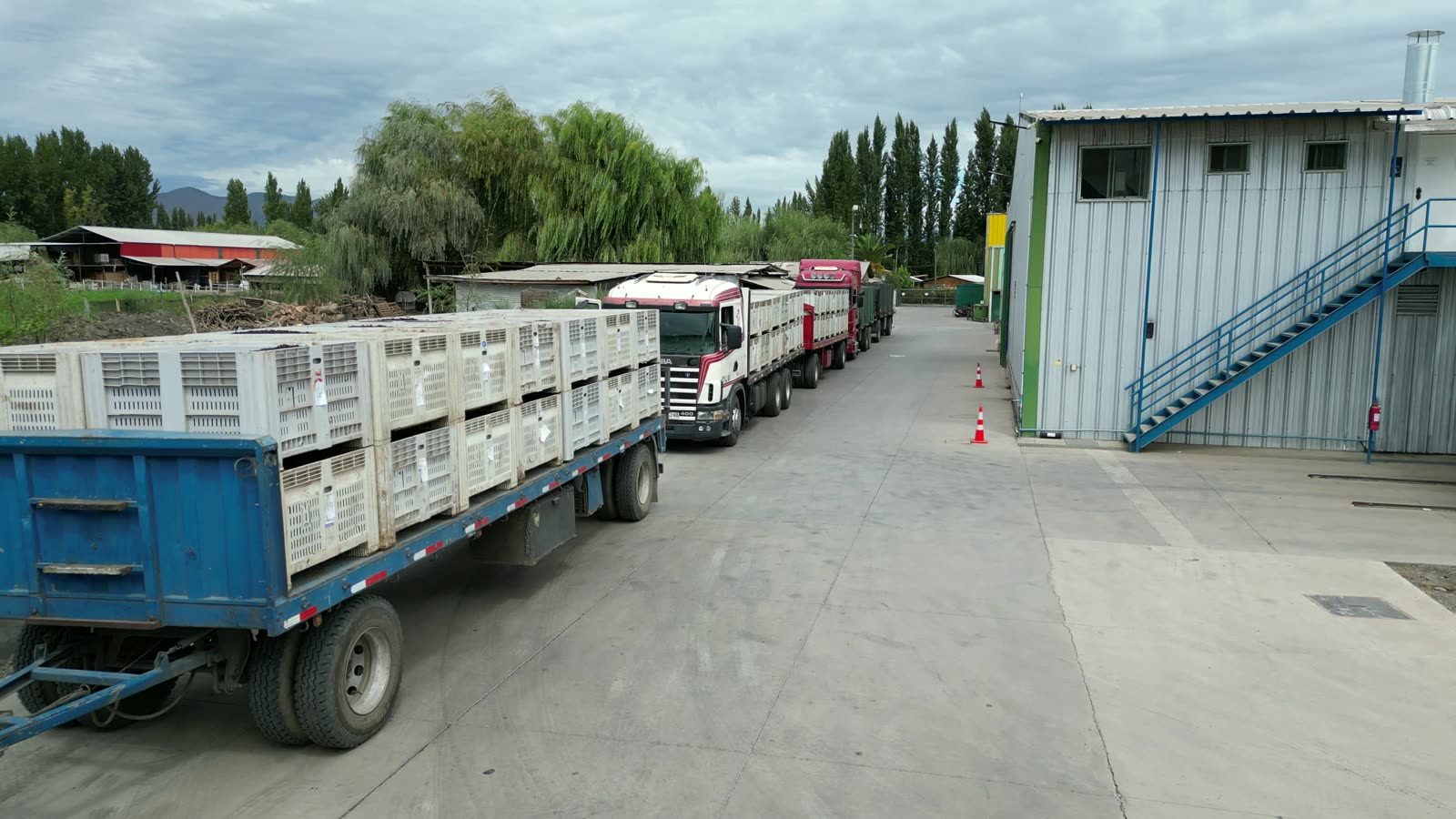 Export